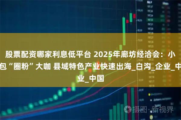 股票配资哪家利息低平台 2025年廊坊经洽会：小箱包“圈粉”大咖 县域特色产业快速出海_白沟_企业_中国