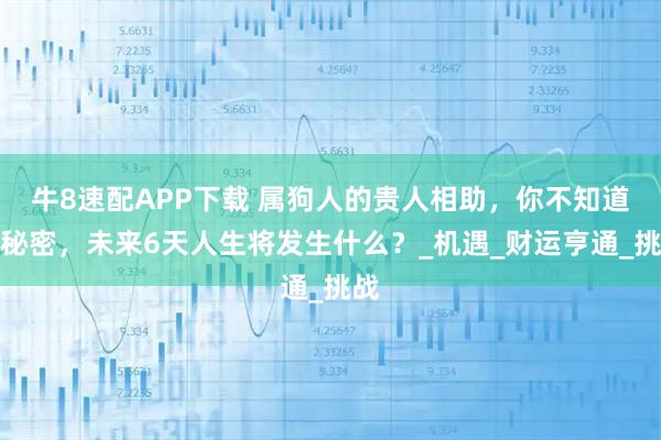 牛8速配APP下载 属狗人的贵人相助，你不知道的秘密，未来6天人生将发生什么？_机遇_财运亨通_挑战
