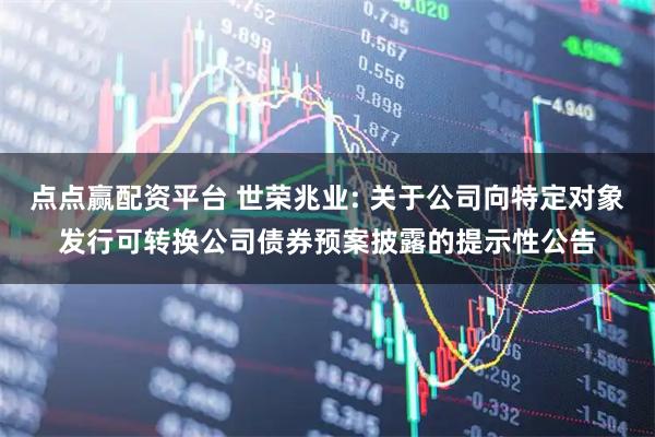 点点赢配资平台 世荣兆业: 关于公司向特定对象发行可转换公司债券预案披露的提示性公告