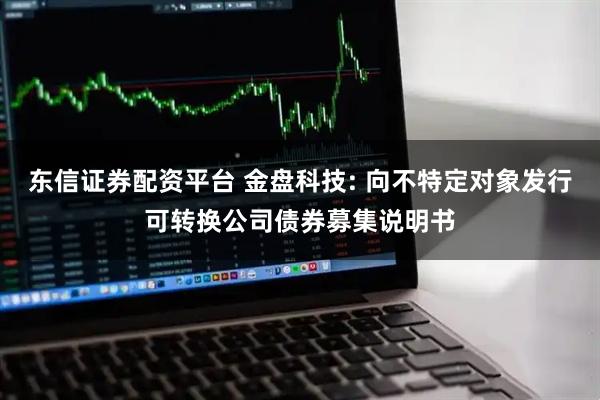 东信证券配资平台 金盘科技: 向不特定对象发行可转换公司债券募集说明书
